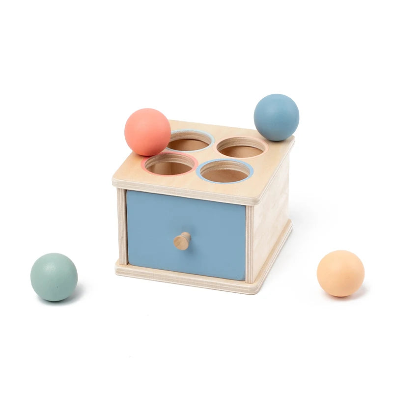Boîte d’activités Montessori en bois – Formes, couleurs et motricité fine